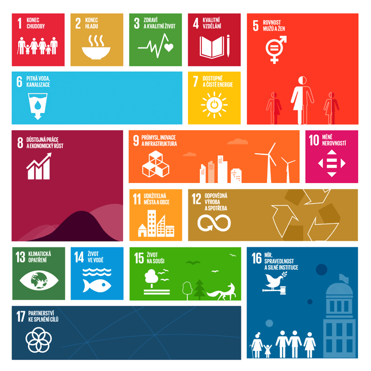 To qualify your team must pick one of the 17 Global Goals to advocate for.