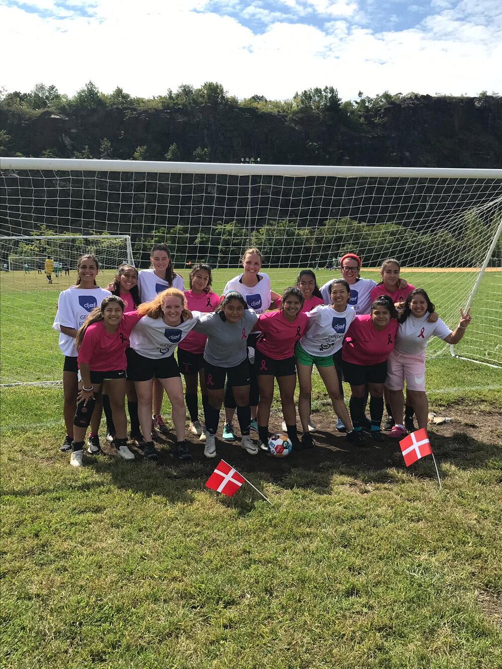 GGWCup NYC 2019 Sunday Friendly by Team Formation1.JPG