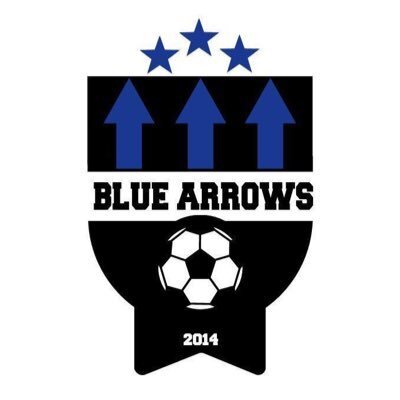 Blue-Arrows-logo.jpg