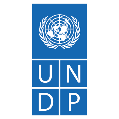 UNDP-global-partner-EIR-GGWCUP.png