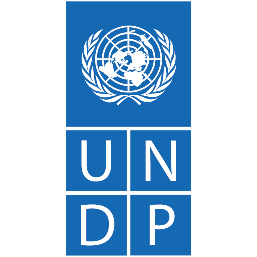 UNDP-logo.png