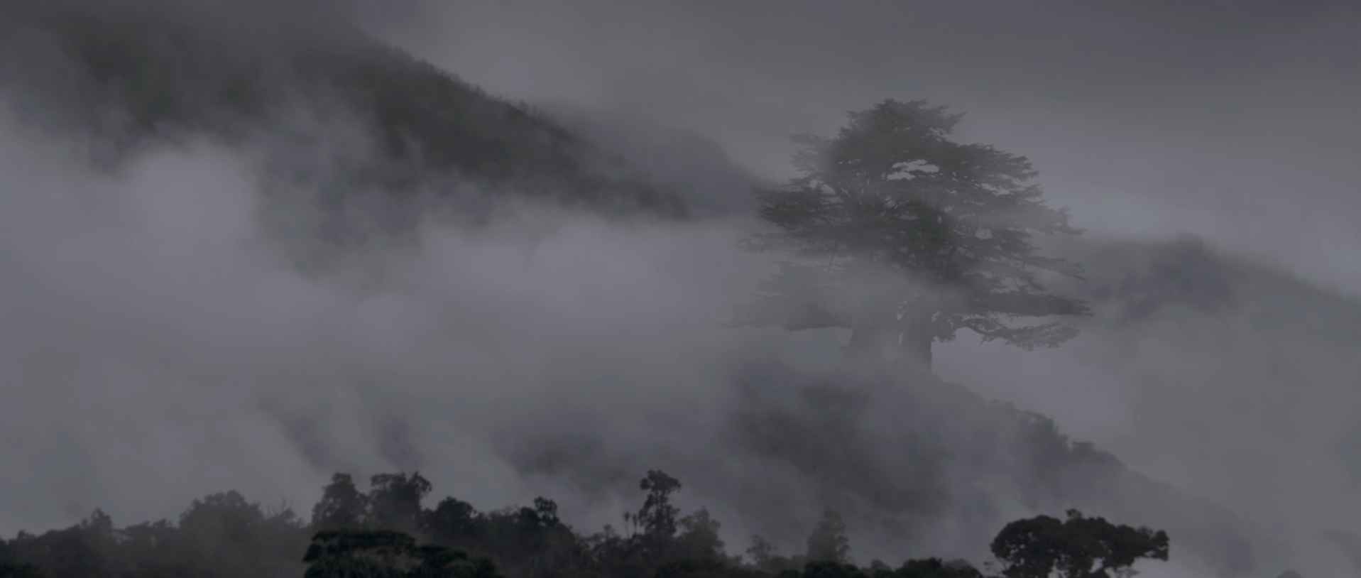 Screen Shot 2016-08-29 at 6.08.23 PM.png