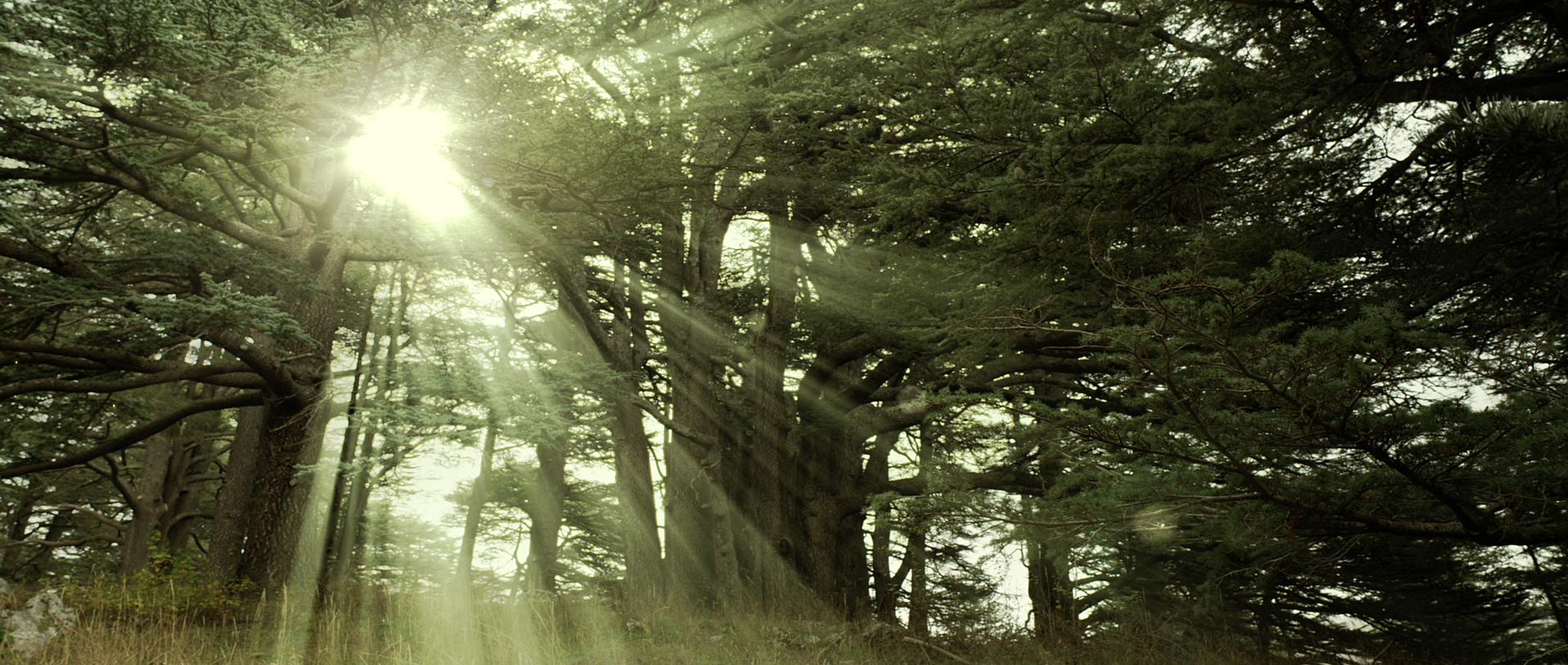 Screen Shot 2016-08-29 at 6.08.13 PM.png