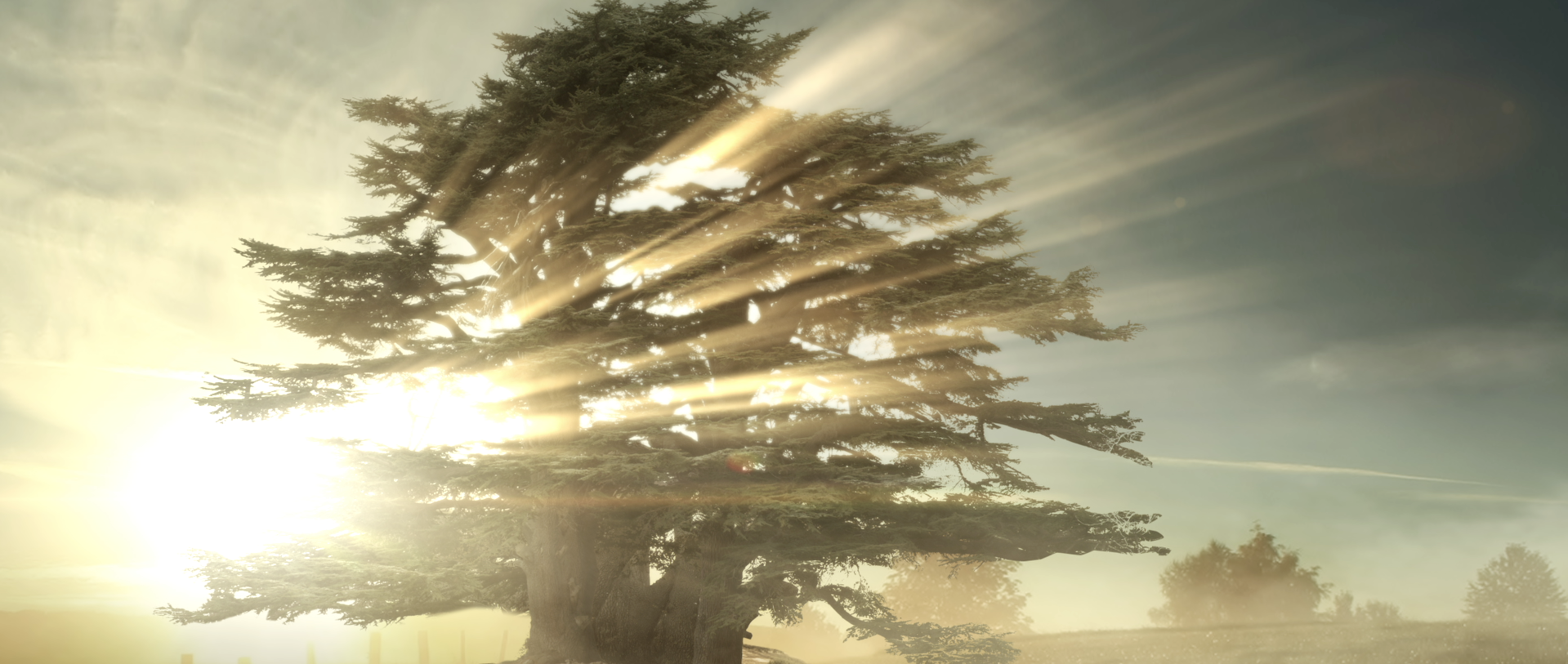 Screen Shot 2016-08-29 at 6.08.58 PM.png