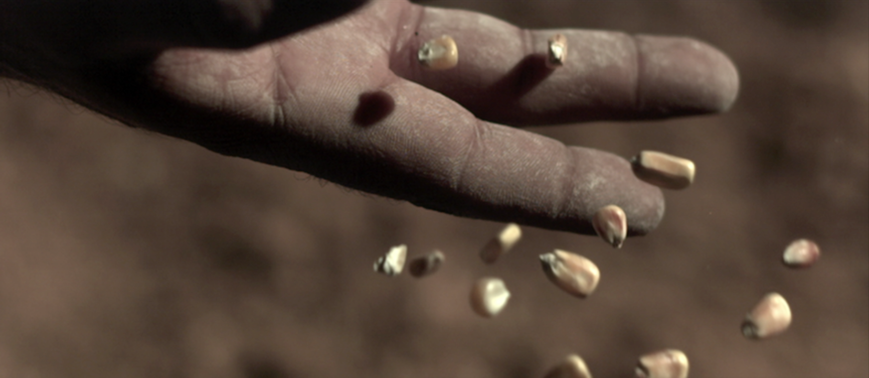 Screen Shot 2016-08-30 at 1.43.57 PM.png