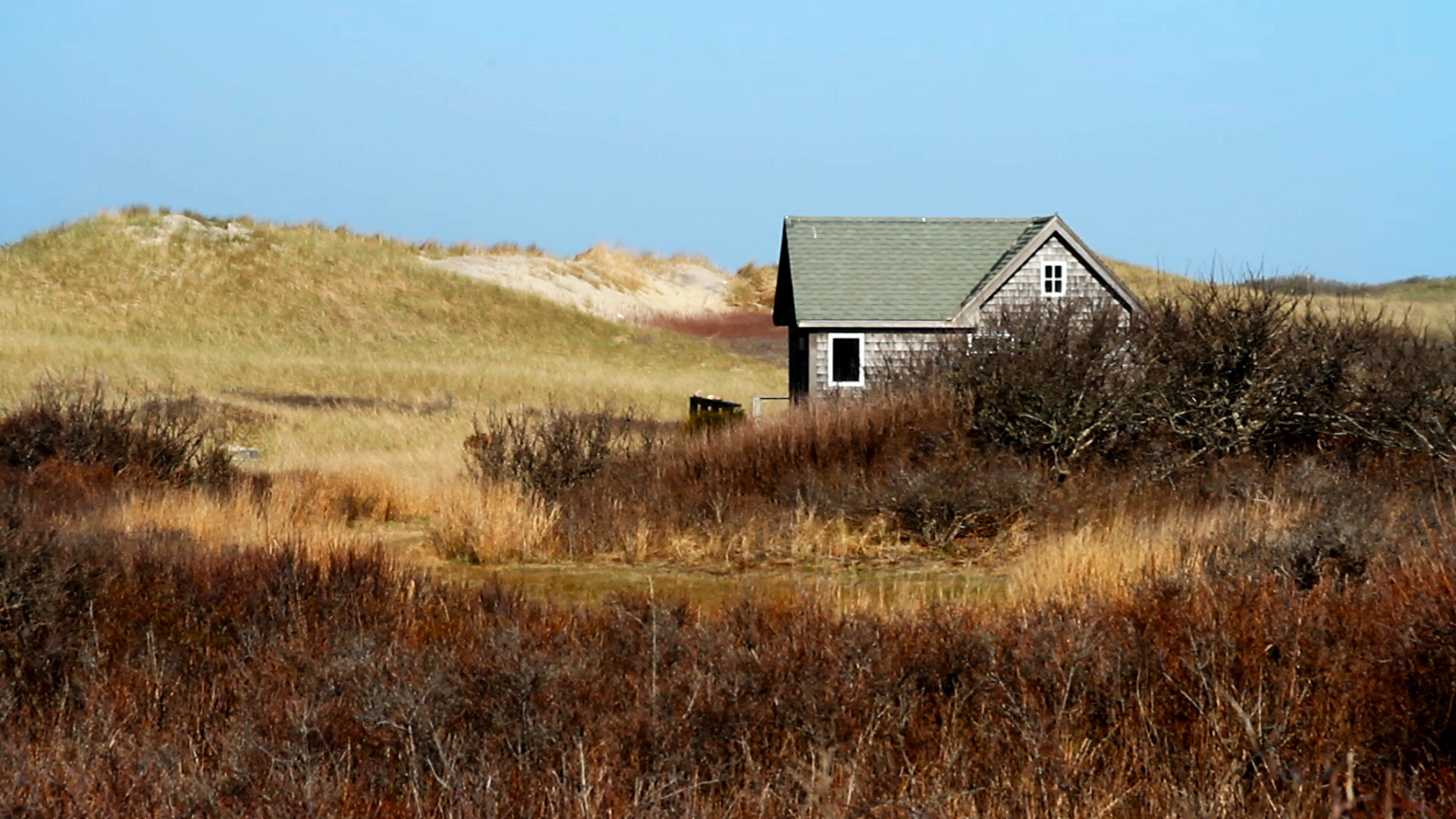 A cottage on Martha's Vineyard