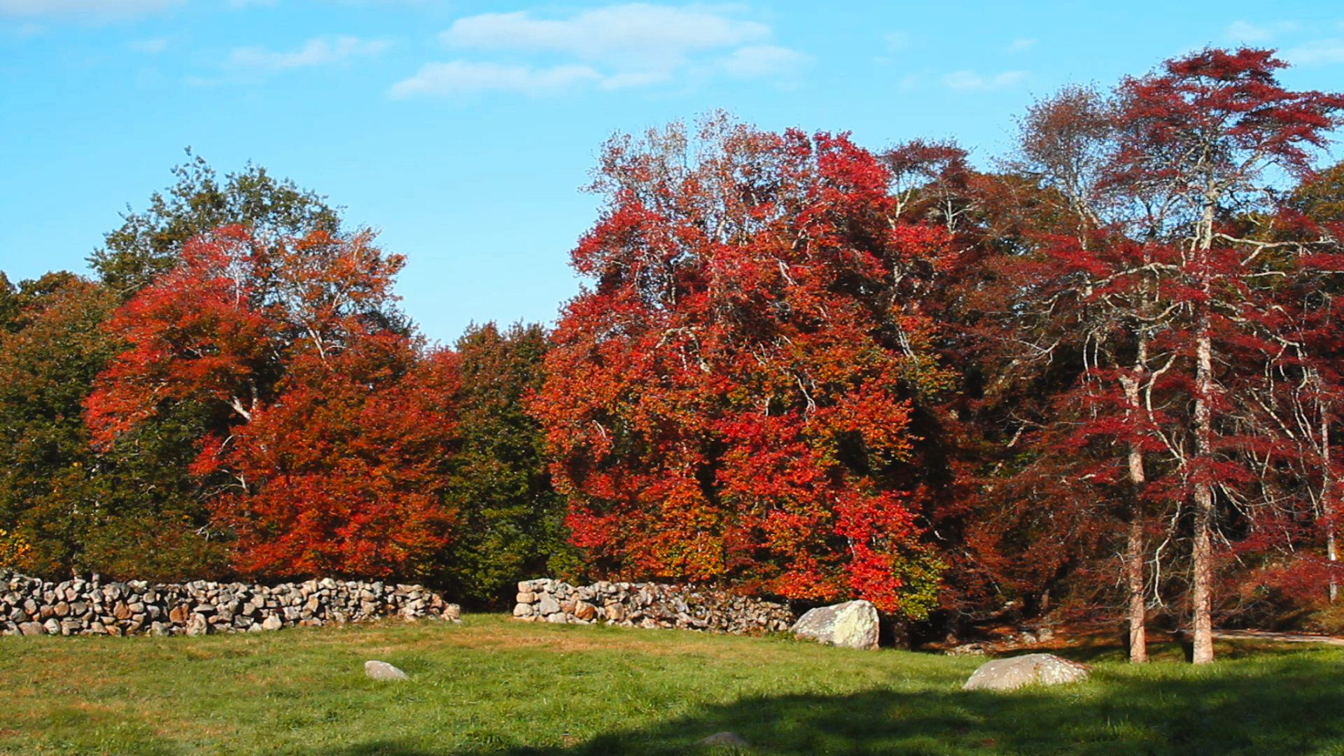 Autumn on Martha's Vineyard