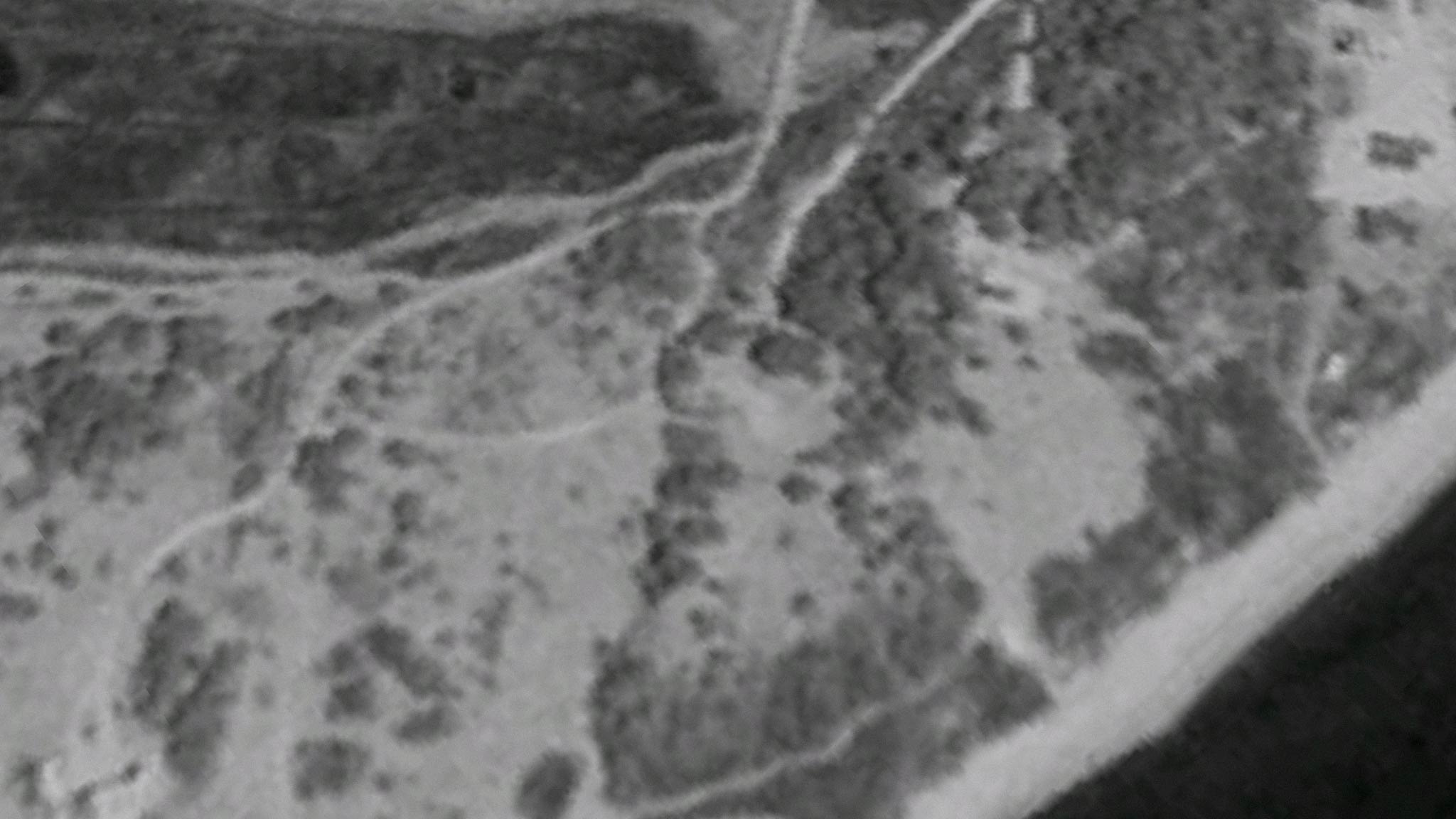 Martha's Vineyard satellite image from 1991 before mansions