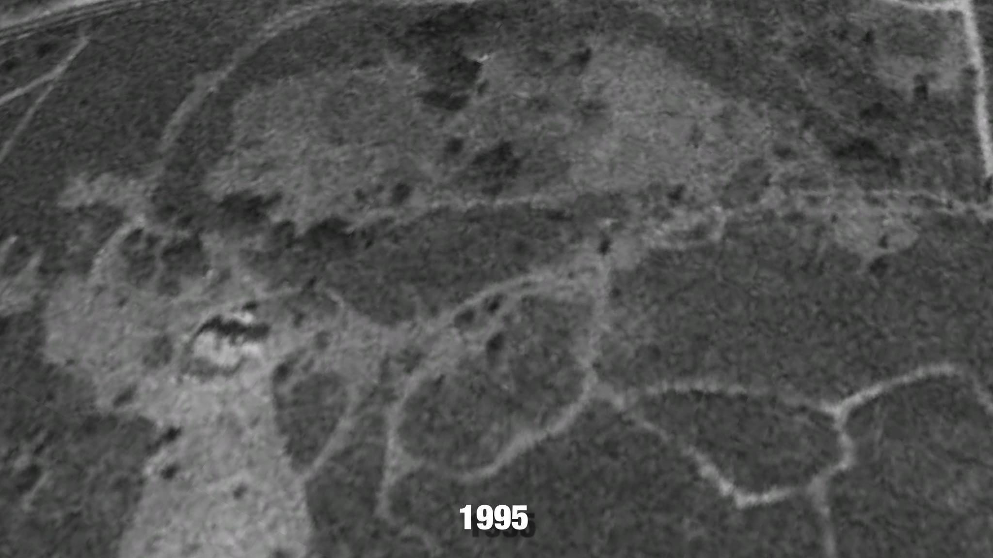 Martha's Vineyard satellite image from 1995 before mega-mansions