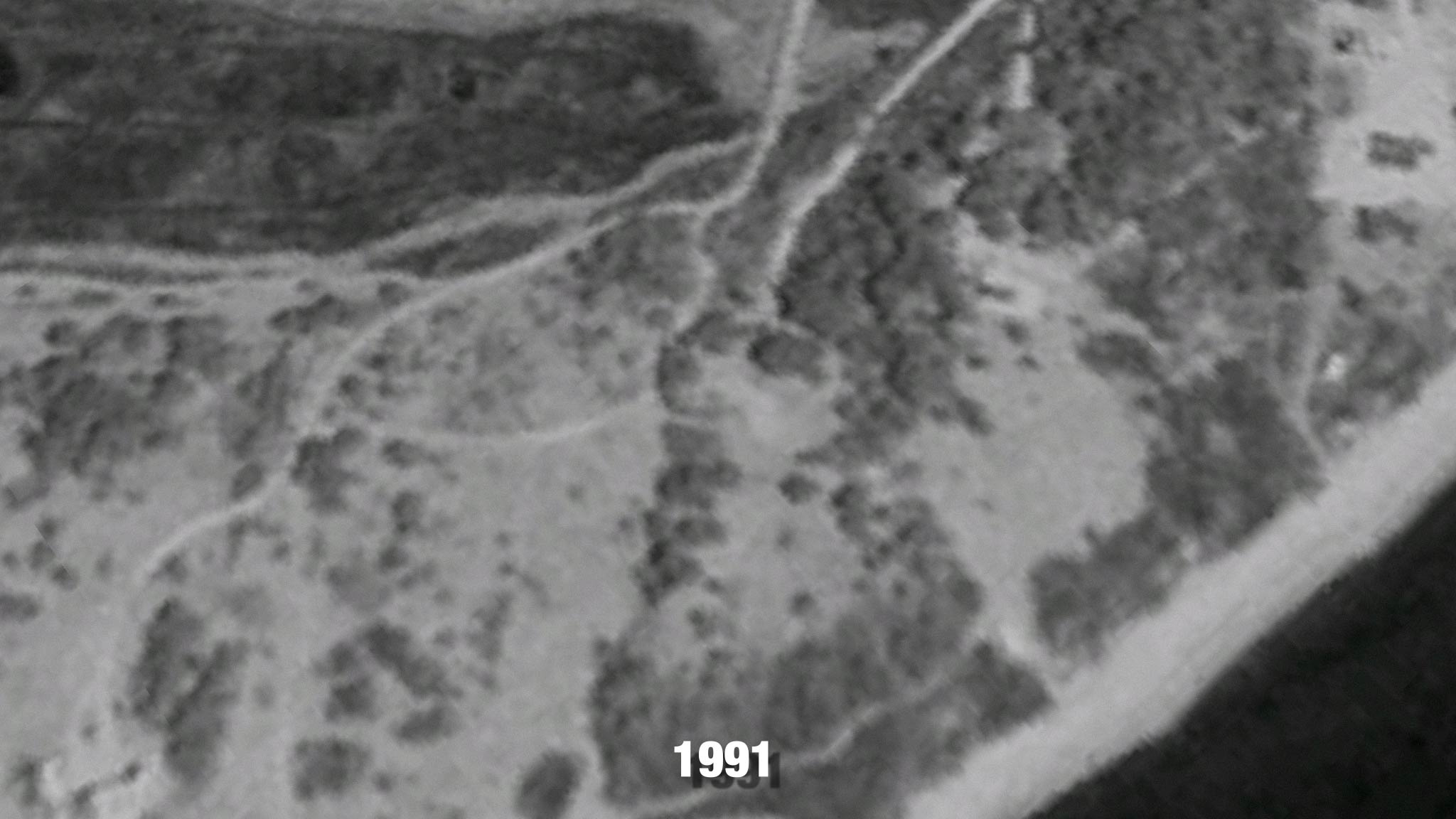 Martha's Vineyard satellite image from 1991 before mega-mansions