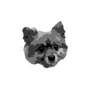 Lucky.png