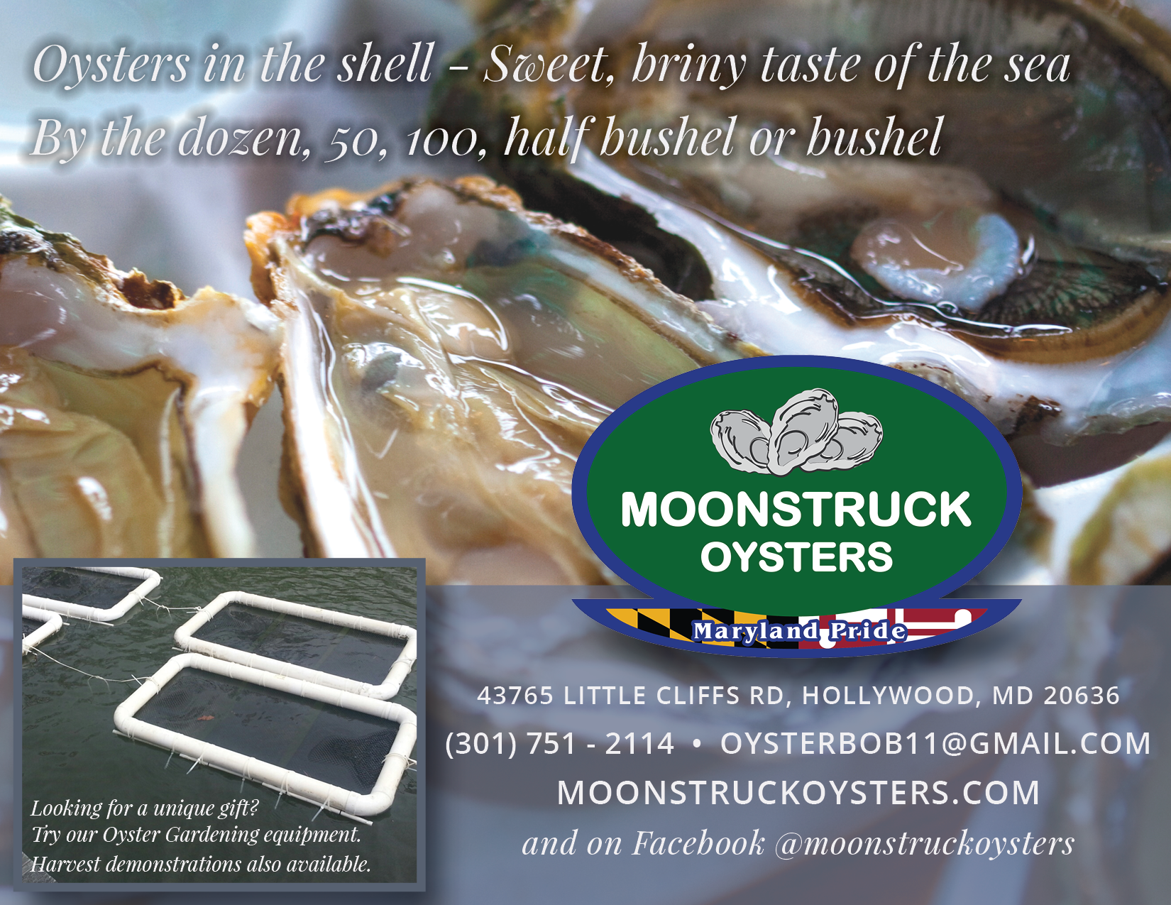 Moonstruck Oyster Company