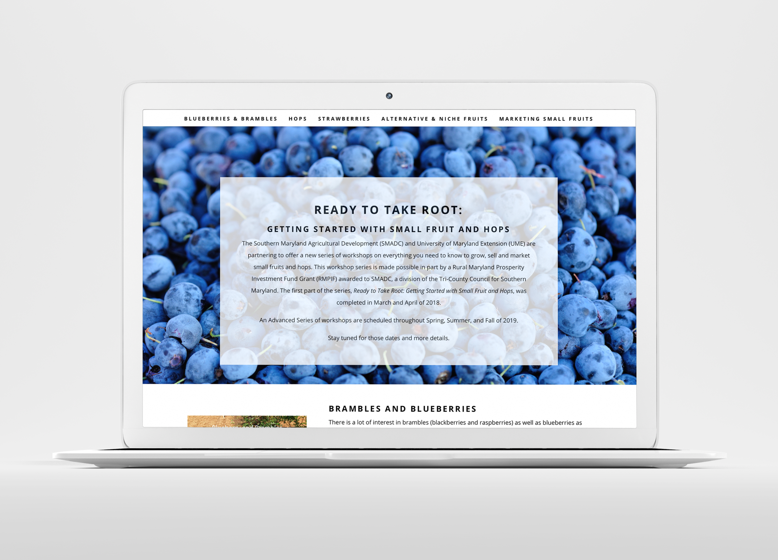 Farm Website | Southern Maryland Small Fruits
