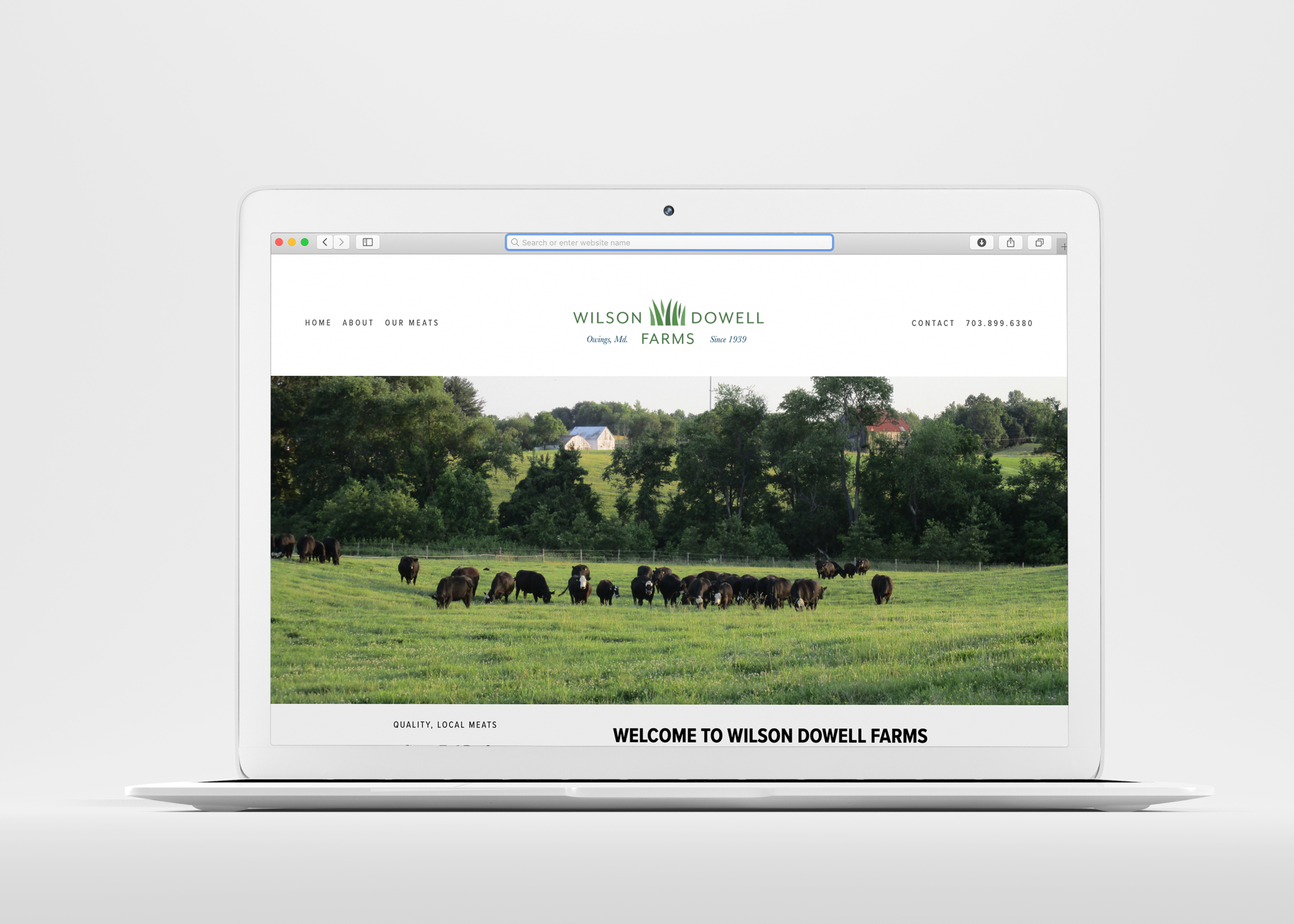Farm Website | Wilson Dowell Farms