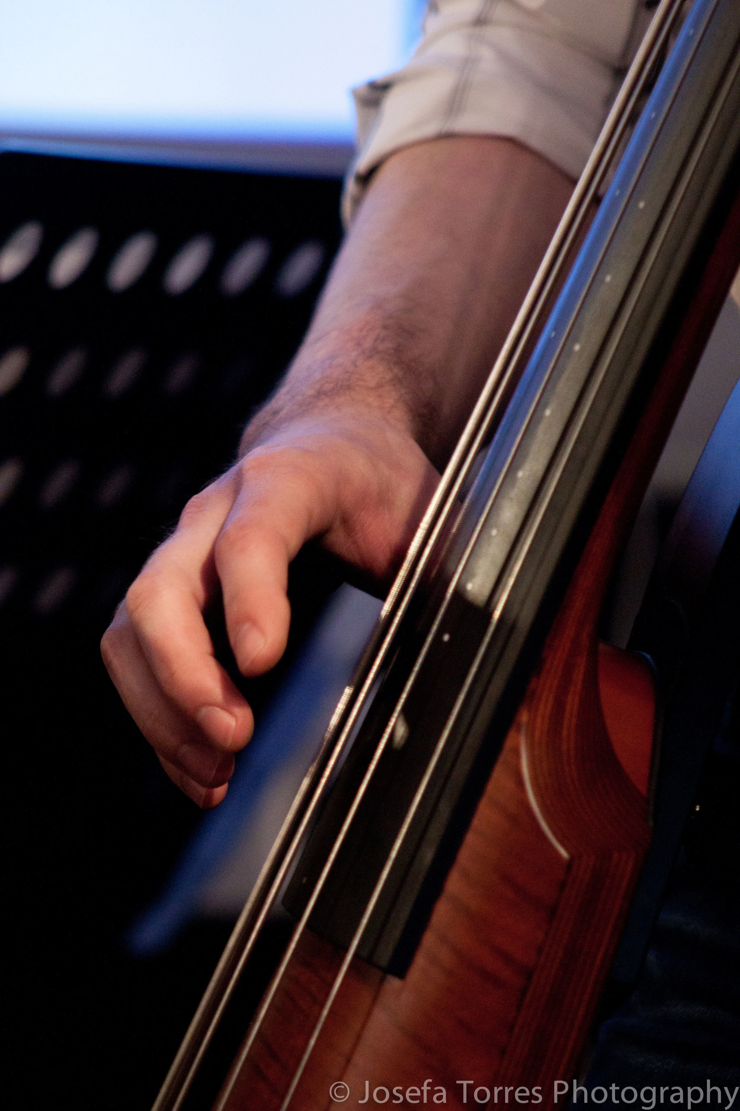 NS EU Electric Upright Bass