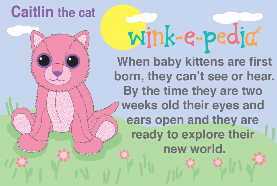 winkeez cat