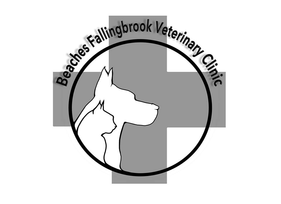 Beaches Fallingbrook Veterinary Clinic.jpg