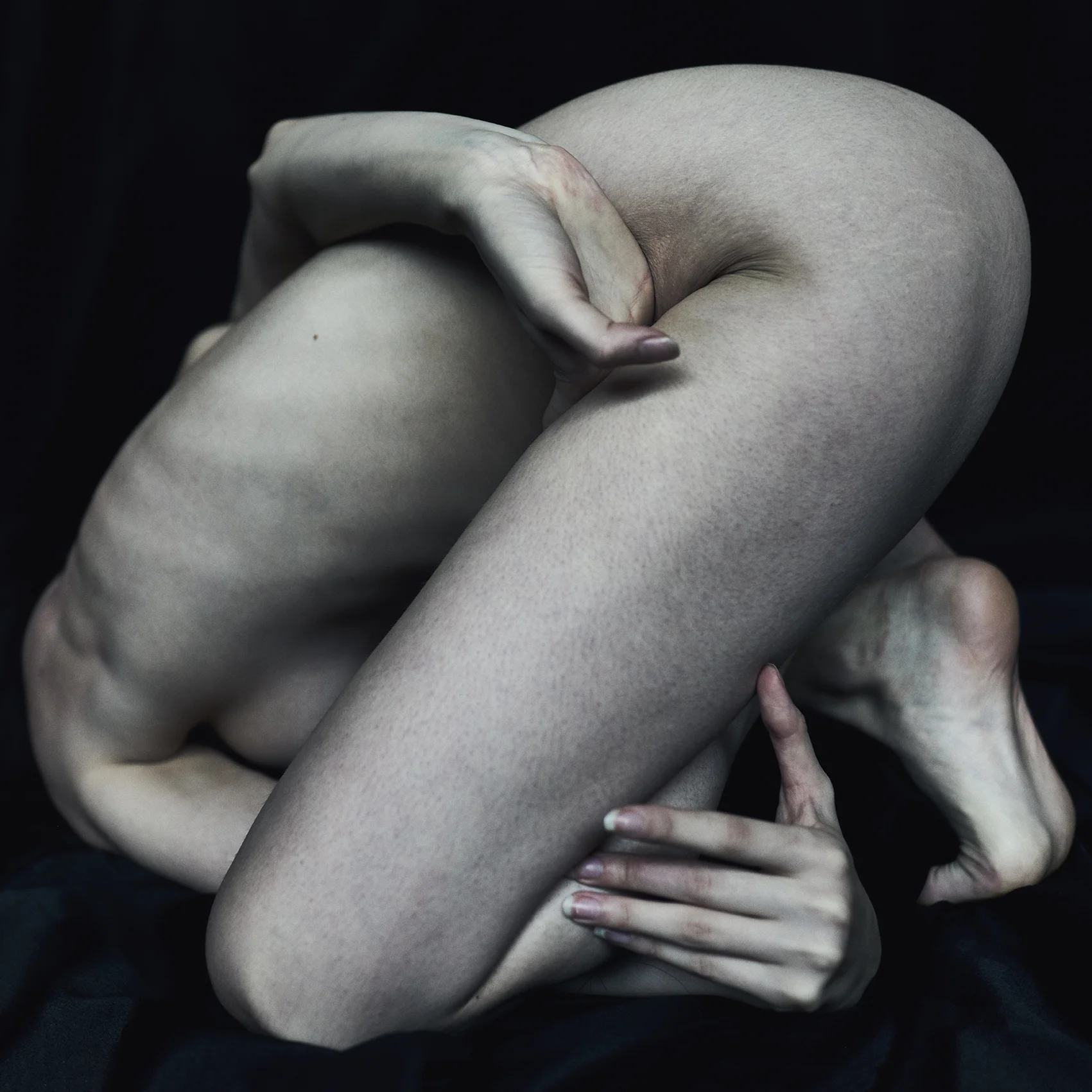 160110_NL_Maidenfed_498a.jpg