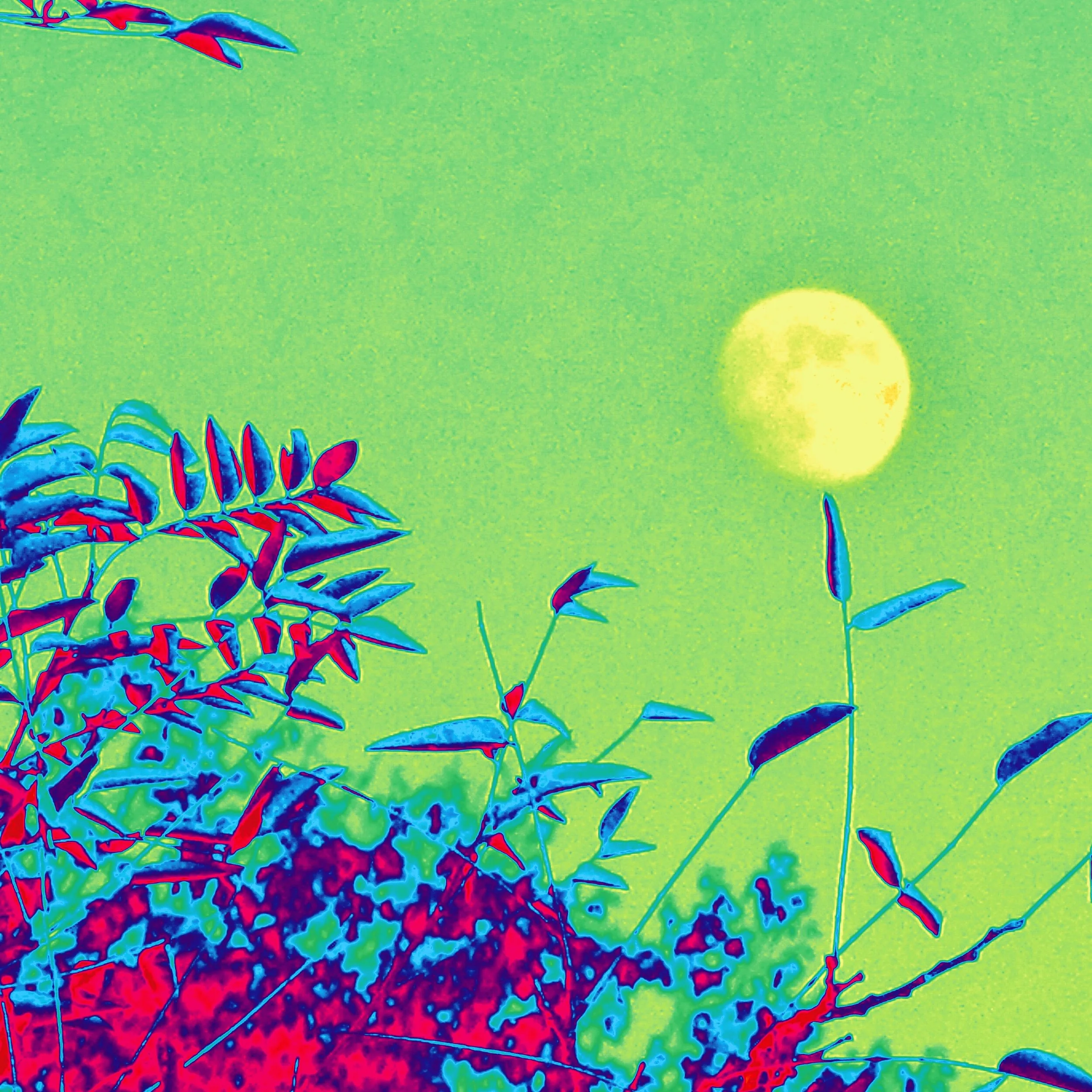 earthmoongreen.jpg