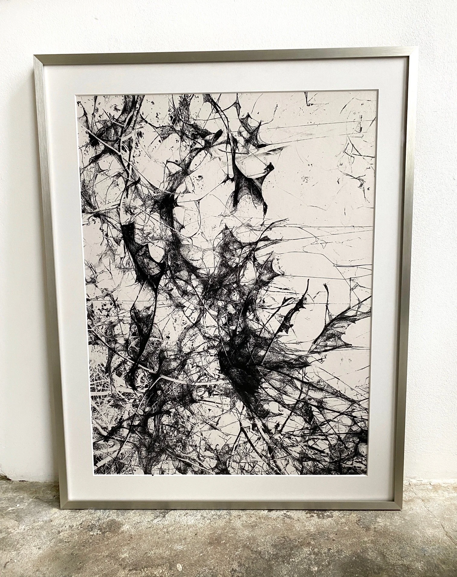 life-webs-framed.jpg
