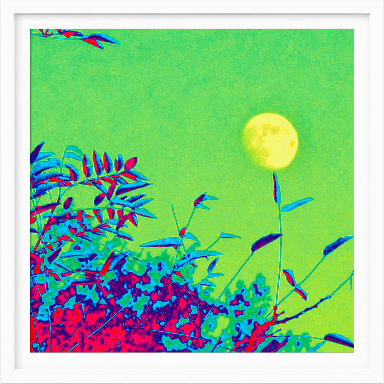 moon-frame.png