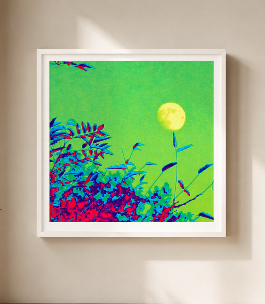 moon-wall.png