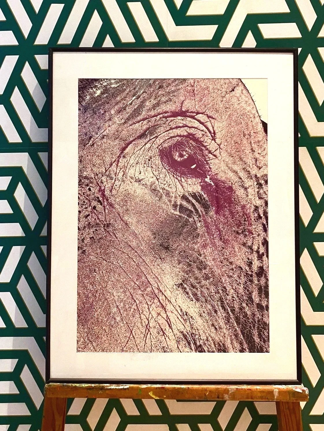 elephant-framed.jpg