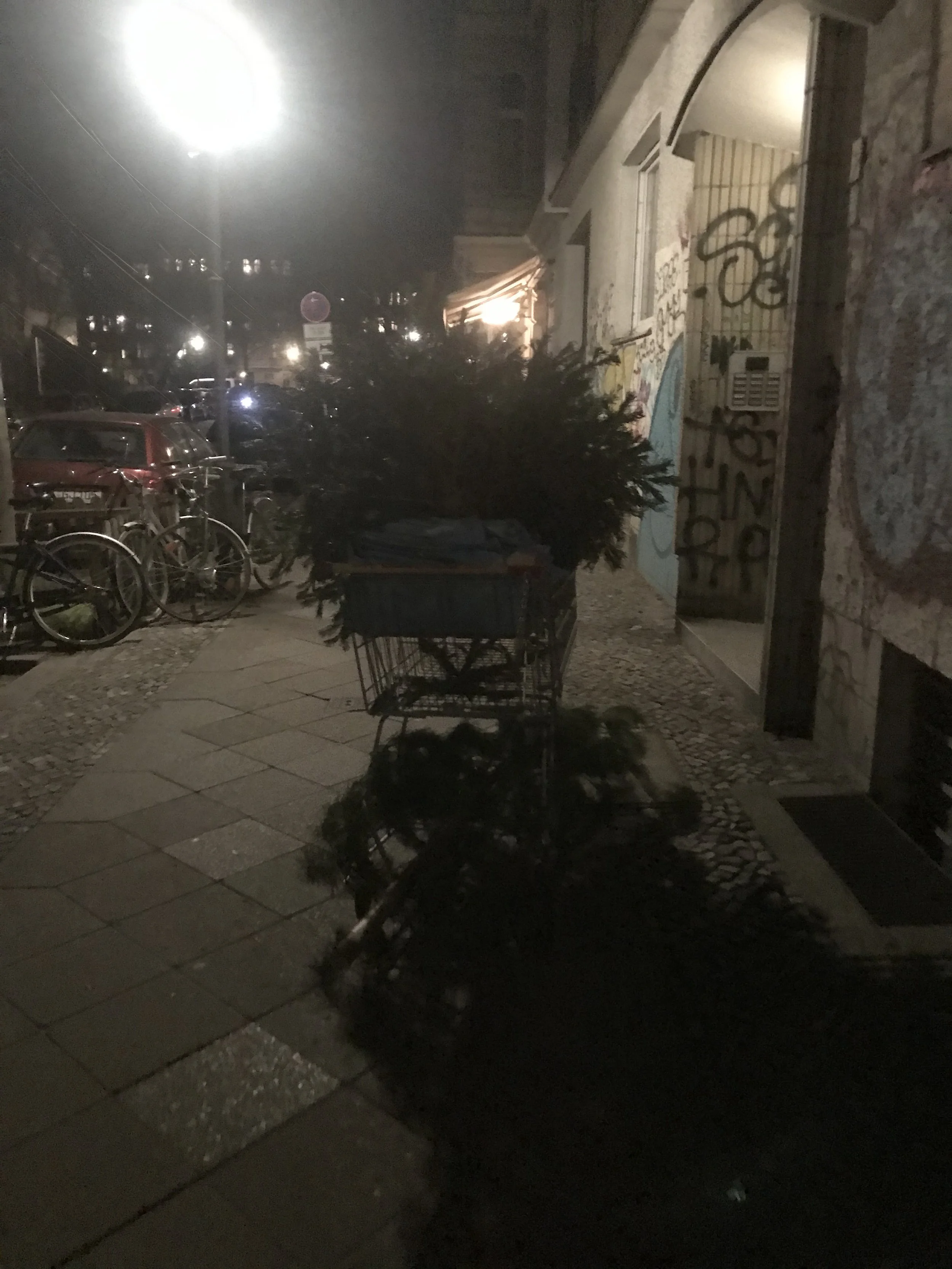 IMG_3464.jpeg