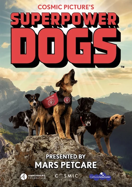 superpower dogs.jpeg