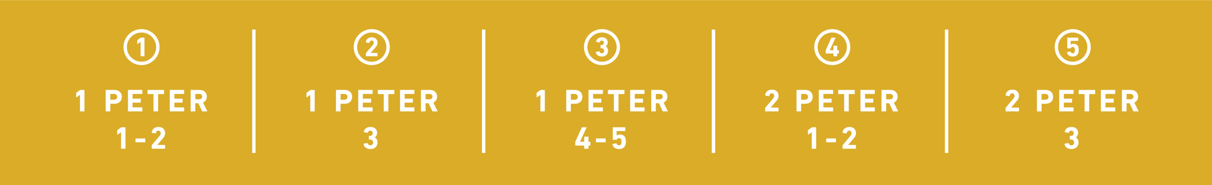week3-01.png