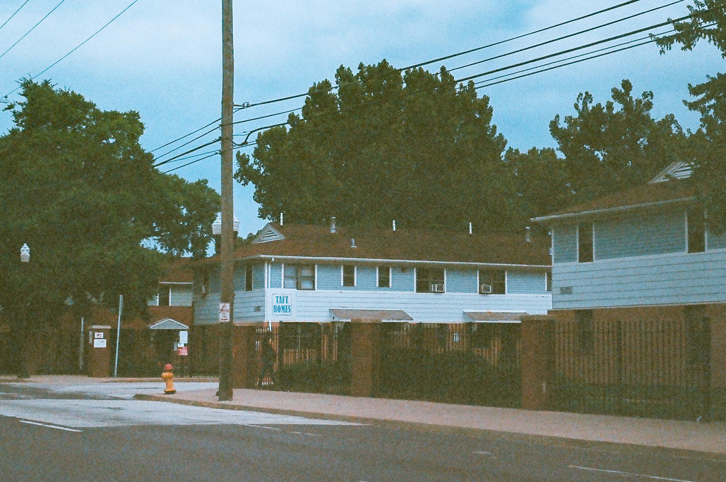 film_rooted-8.jpg