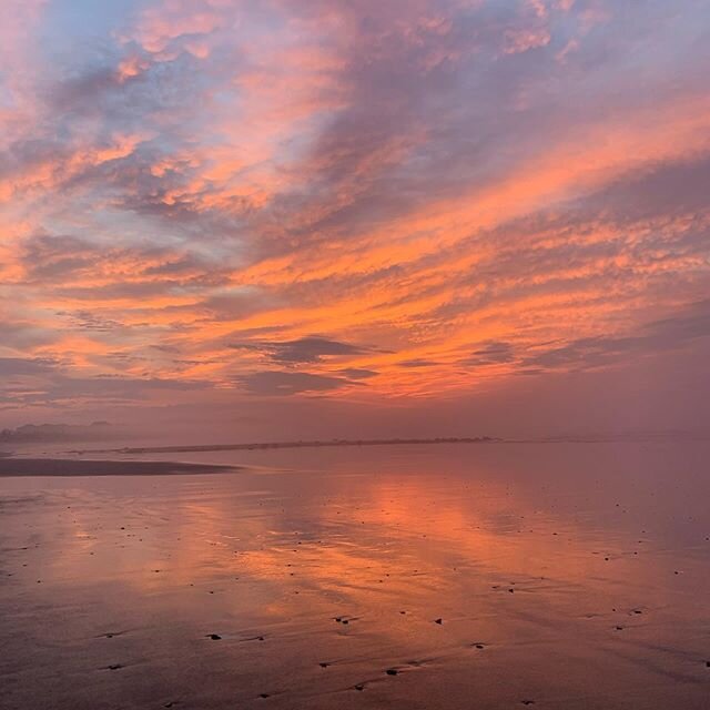 Saturday Sunrise Vibes &bull;
&bull;
&bull;

#omyoursoul #sunrise #gratitude #newday #nature #nurture #selflove #selfcare #beach #happiness #compassion #love #saturdayvibes #ocean #intention #connections #seaglass #seashells #positivevibes