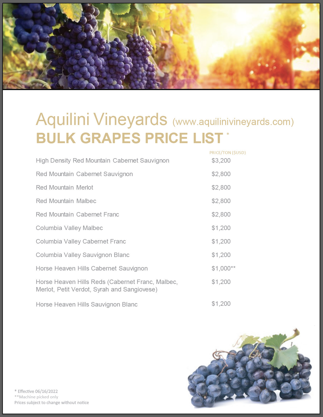 Screenshot 2023-03-08 at 4.06.32 PM.png