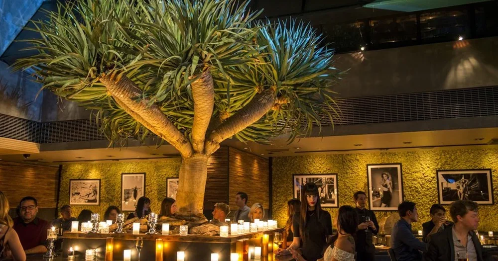 🍁✨ Inside Our Venues: Why “Low-Key Sophistication” Creates Better Connections in Toronto