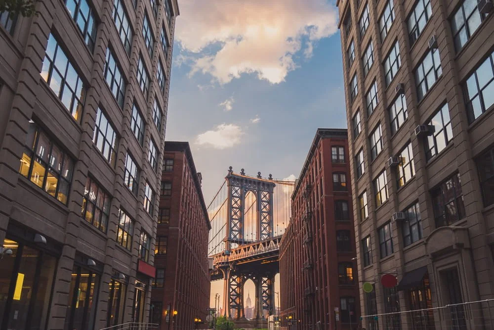 The Art of Accidental Romance (NYC Edition)