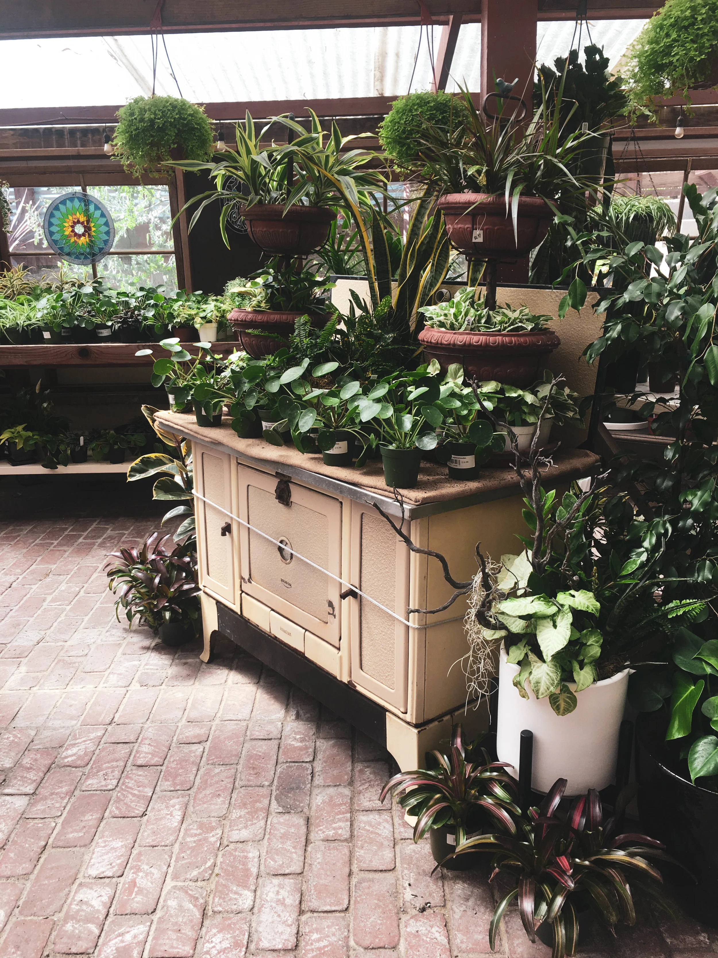 The cutest little greenhouse at Barrels and Branches.