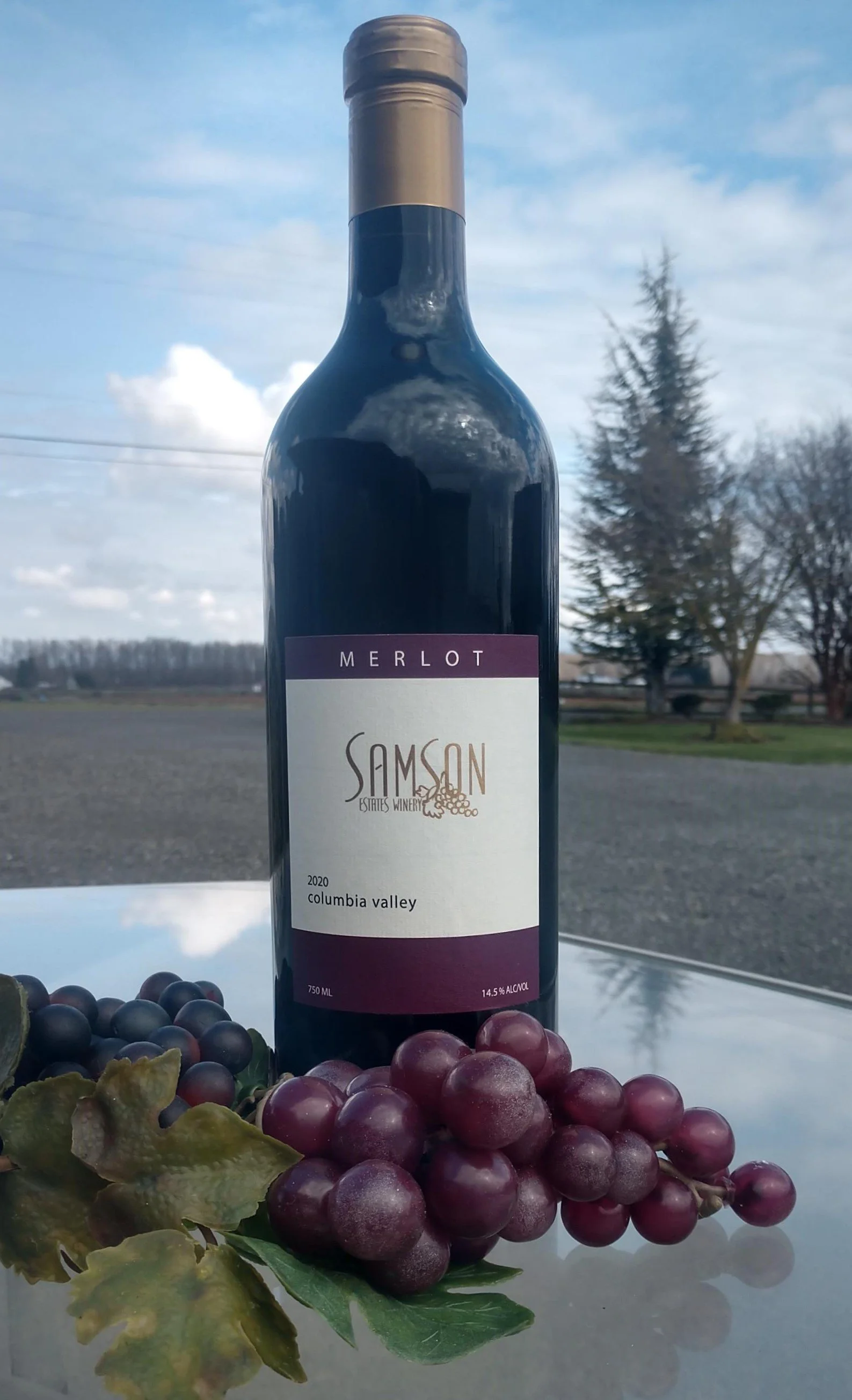 2020 Merlot.jpg