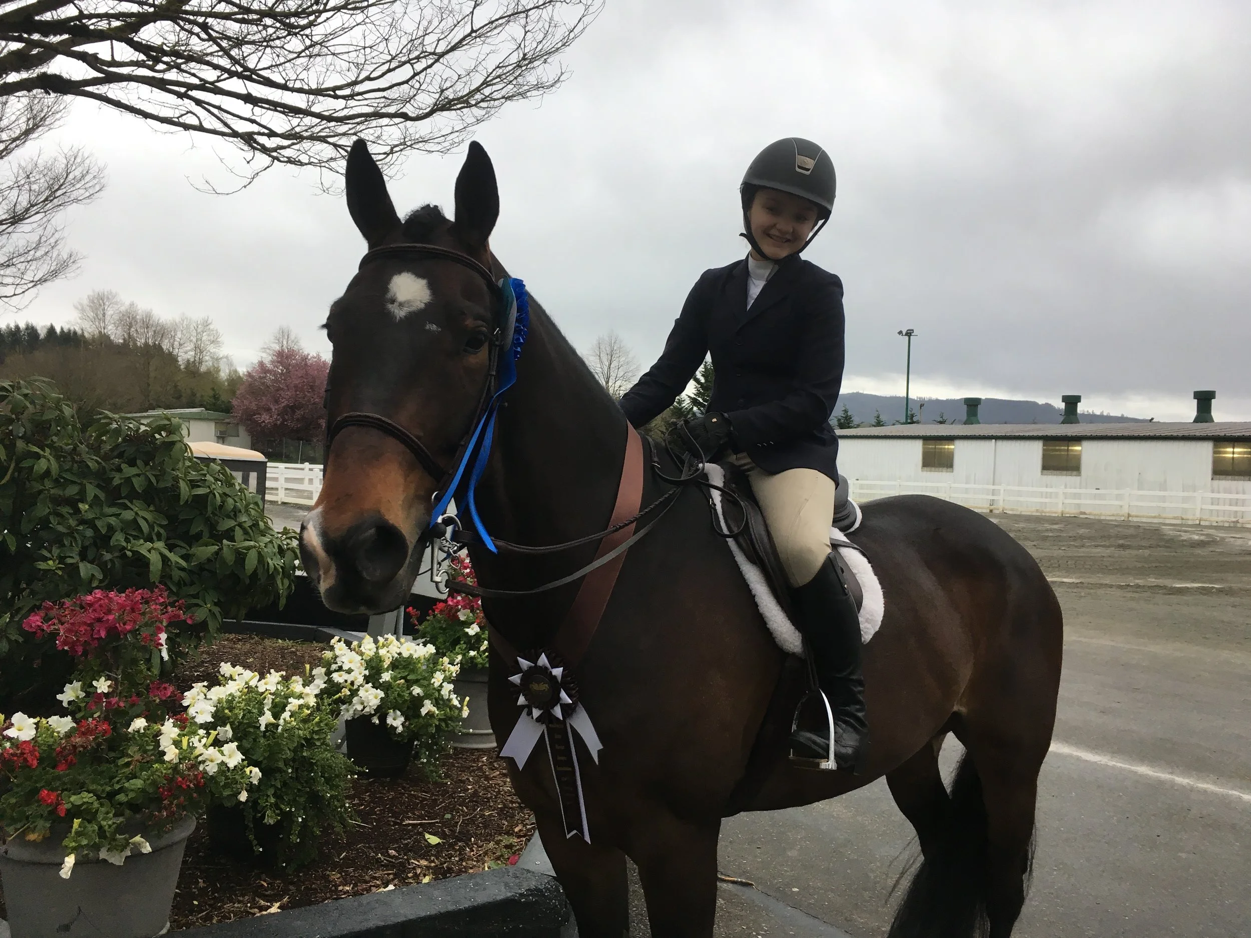 Spring National Inaugural Hunter Jumper 2017 