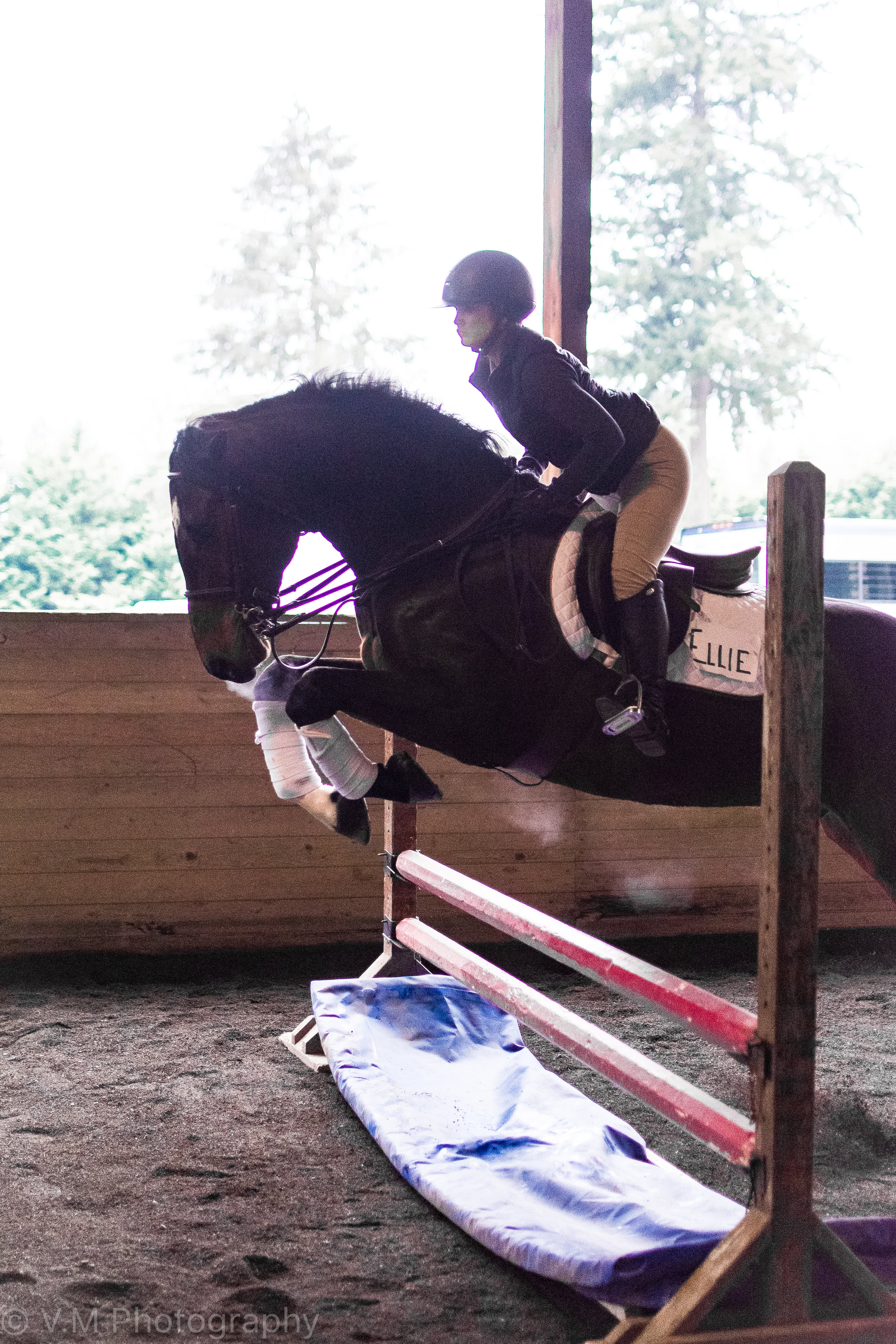 Bernie Traurig Clinic