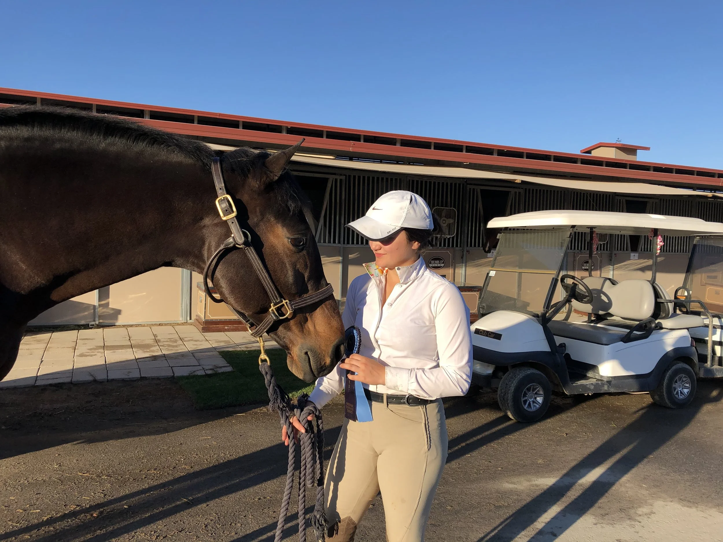 Sunshine Series I and II