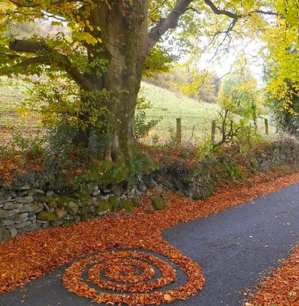 Spending a little time in nature sure does the body and mind good!
-
-
-
#getclosetonature #walkinthewoods #goodmentalhealth #holistichealth #nature #omforthehome #fallingleaves #takeawalk #fall #interiordesign #naturalbeauty #destress #livebeautiFUL
