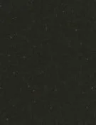 Absolute Black 