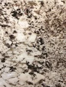 Bianco Antico.png
