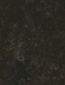 Black Pearl.png