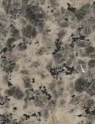 Leopard Skin.png