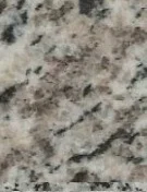 Tiger Skin White.png