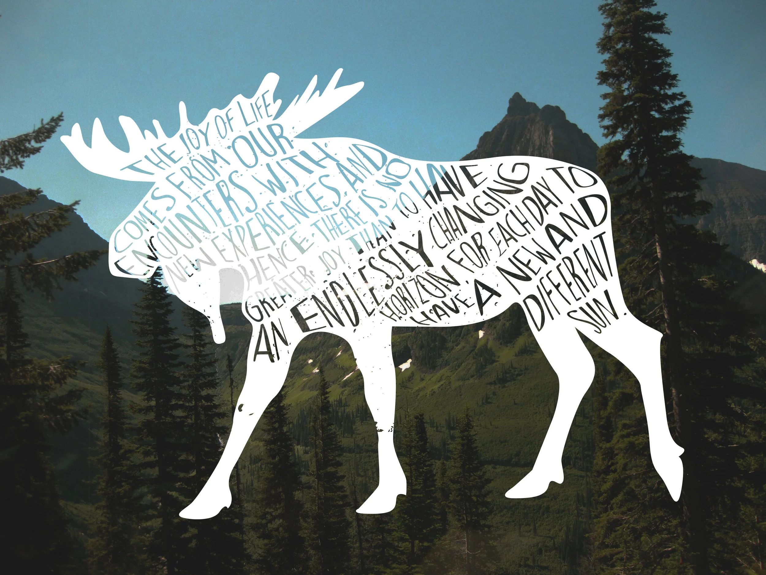 "Moose", created with Adobe Photoshop & Illustrator