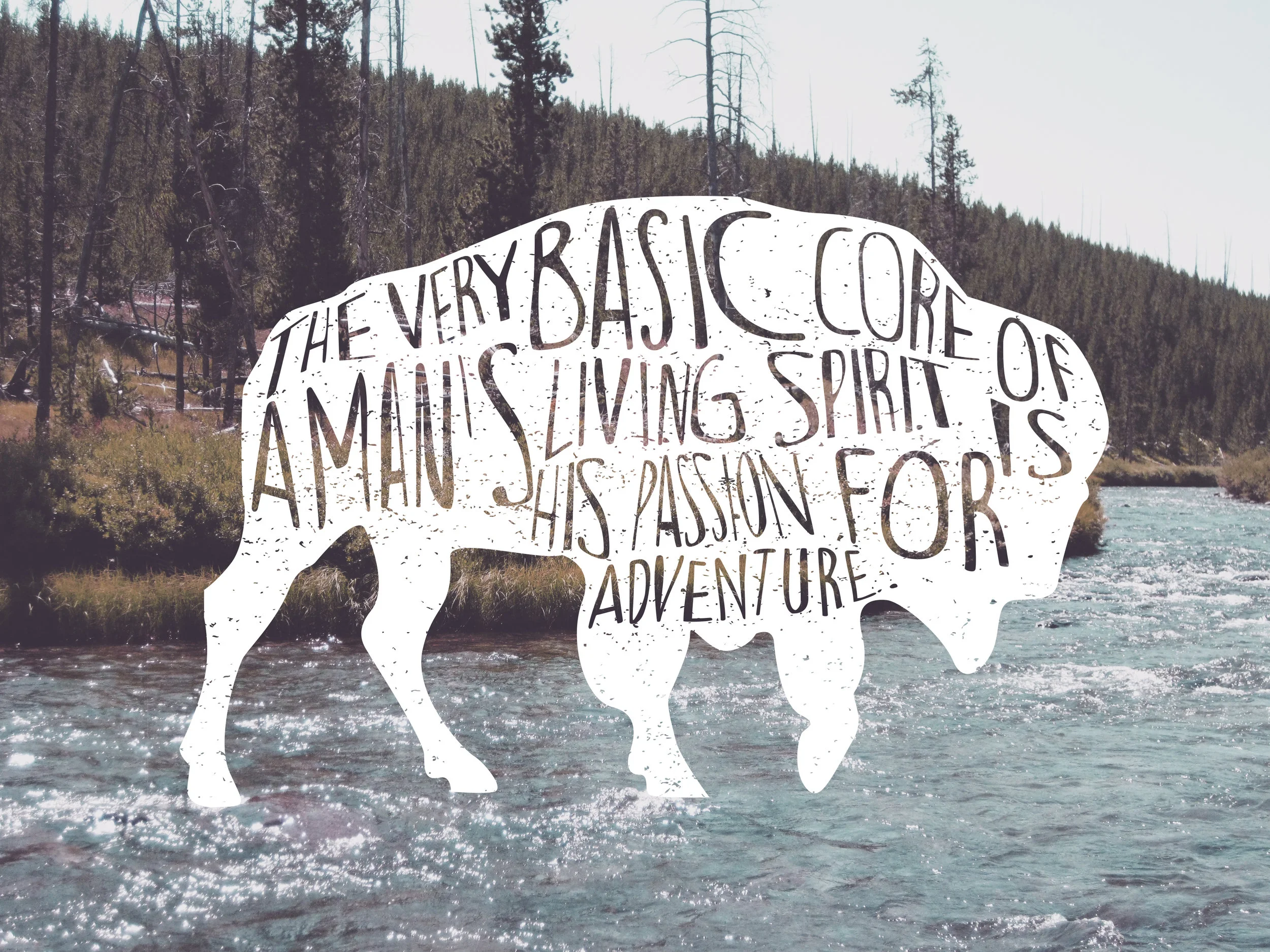 "Bison", created with Adobe Photoshop & Illustrator