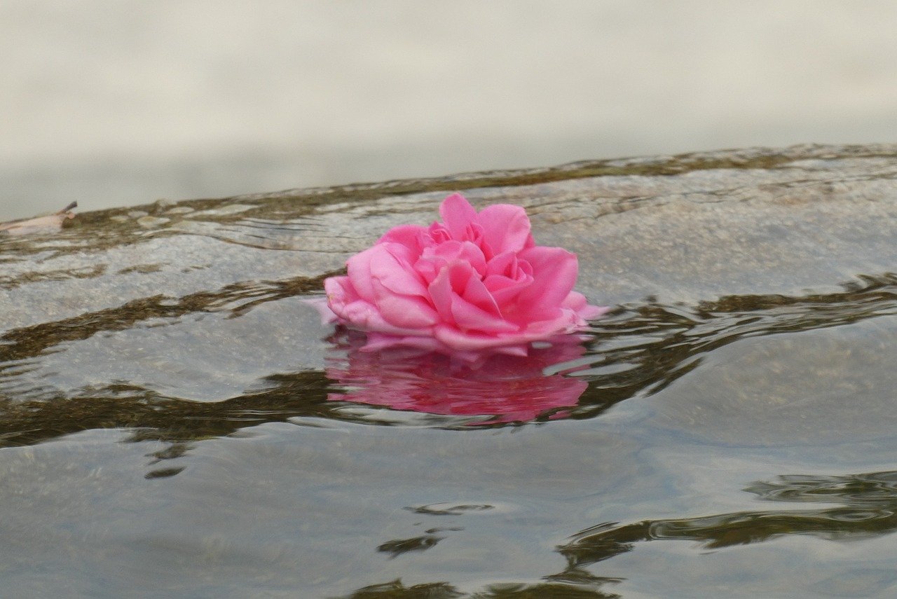 Honoring Transitions Circles - embracing grief & change