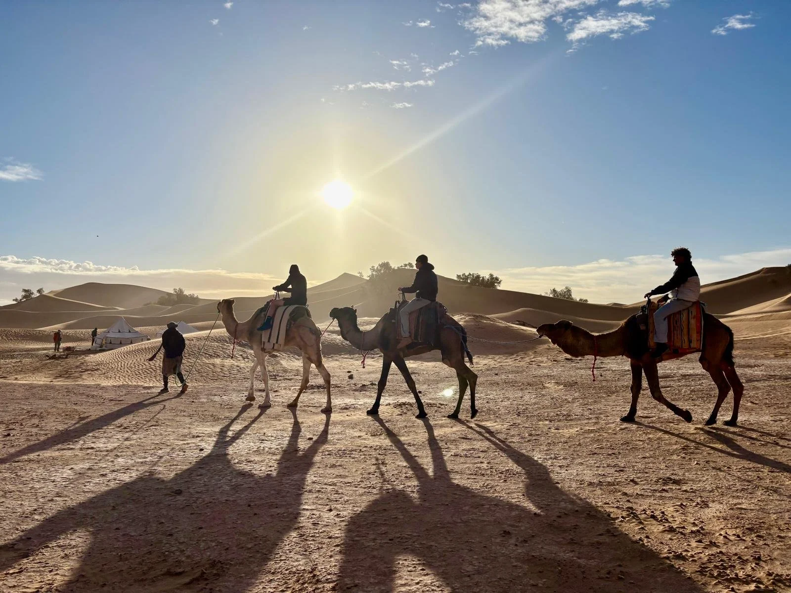 sahara 12.jpg